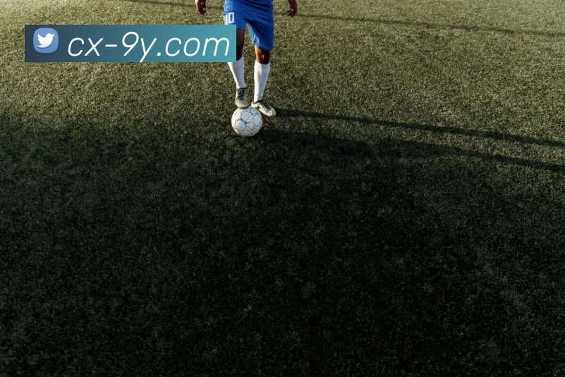 九游官网全站App